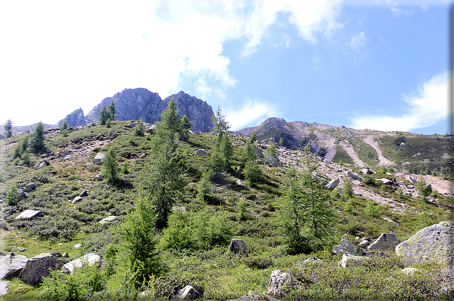 foto Forcella delle Tavarade